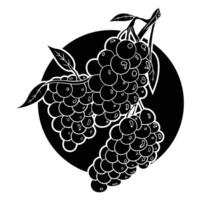 black and white illustration of grapes on a branch vector