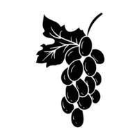 black grapes on a branch with leaves vector