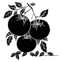 tomatoes on the branch with leaves and leaves vector