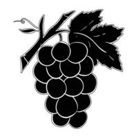 black and white grapes on a branch vector