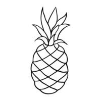 a pineapple is shown in a line drawing vector