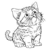 a kitten coloring page with a black and white outline vector