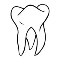 a tooth is shown in a line drawing vector