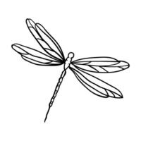 dragonfly coloring page dragonfly coloring page dragonfly coloring page dragonfly coloring page dragonfly coloring vector