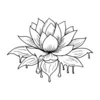 a drawing of a lotus flower with dripping water vector