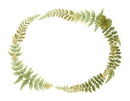 Oblong oval wreath with fern leaves botanical card template in earth tone. Hand drawn watercolor horizontal floral frame. Perfect for the use of ecological material and modern designs. vector