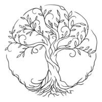 a tree with roots in a circle coloring page vector