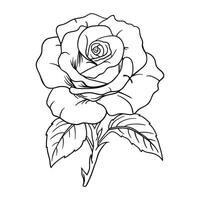 a rose is drawn in black and white on a white background vector