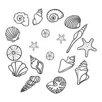 coloring page with shells and starfish vector