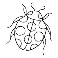 a ladybug is drawn in black and white vector