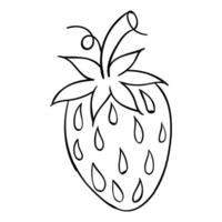 a strawberry is drawn in a line on a white background vector
