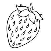 a strawberry is shown in a line drawing vector