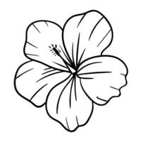 a black and white drawing of a flower vector