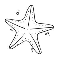 a starfish is drawn in black and white on a white background vector