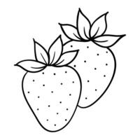 two strawberries are shown in a line drawing vector