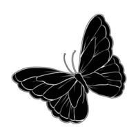 a black and white butterfly on a white background vector