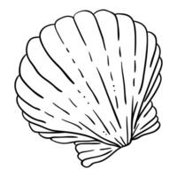 a black and white drawing of a shell vector