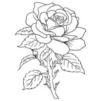 a rose coloring page with a flower vector