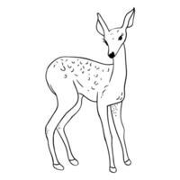 a black and white drawing of a deer vector