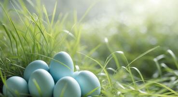 Easter eggs in the grass photo