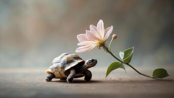 Tiny tortoise sheltering under a blooming flower. photo