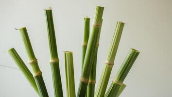 A vase with several bamboo sticks in it photo