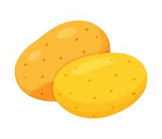 Potato vegetable for cooking meals. A bright element Hand drawn Trendy flat style isolated for design. illustration vector