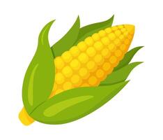 Corn vegetable for cooking meals. A bright Hand drawn Trendy flat style isolated element for design. illustration vector