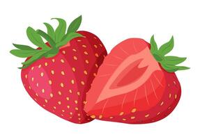 Fresh sweet strawberries. Halved and whole Red berries. Hand drawn summer strawberry trendy flat style isolated for design. illustration vector
