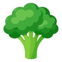 broccoli vegetable for cooking meals. A bright element. Hand drawn Trendy flat style isolated for design. illustration vector