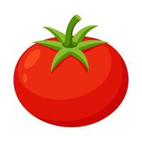 Tomato vegetable for cooking meals. Hand drawn Trendy flat style isolated A bright element isolated for design. illustration vector