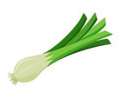 Leek vegetable for cooking meals. Hand drawn Trendy flat style isolated. A bright element for design. illustration vector