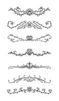 calligraphic objects for wedding invitation vector