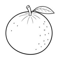 Simple black and white line art of a grapefruit with a stem and a leaf vector