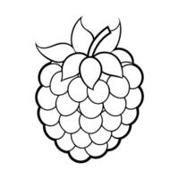 Black and white outline of a boysenberry with leaves and stem vector