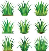 Grass icon set with white background. vector
