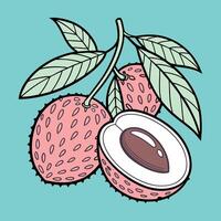 Doodled Lychee Tropical Fruit with Playful Leaves vector