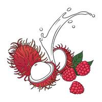 Fruity Explosion Lychee and Raspberries in Creamy Yogurt vector