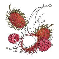 Tropical and Berry Fusion Lychee and Raspberries in Yogurt vector