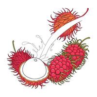 Berry Fresh Lychee Meets Raspberry in Yogurt vector