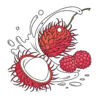 Lychee and raspberries in a yogurt splash vector