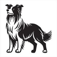 A Day in the Life of a Border Collie vector
