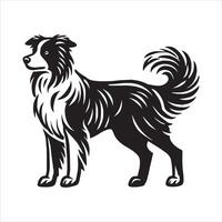 Border Collie Traits Why They re More Than Just a Dog vector