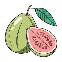 Guava Perfection A Slice of Freshness vector