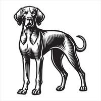 From Fields to Family The Versatile Vizsla vector
