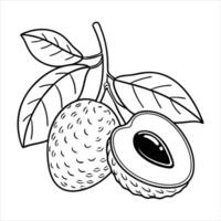 Lychee Love A Sweet and Colorful Fruit Set vector