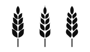 Wheat silhouette set. Wheat icon. Wheat symbol. Cereal grains for making bread vector