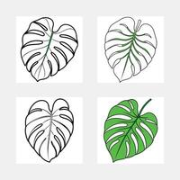 Monstera Leaf Illustrations Line Art, Coloring Page, Green vector