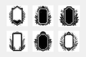 Six Ornate Black and White Frames Botanical Design Elements vector
