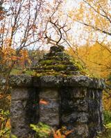 Reindeer antlers on an ancient pedestal in the forest photo
